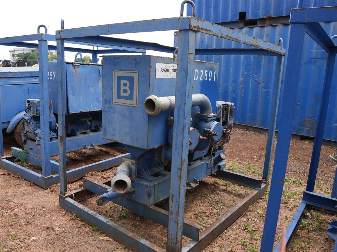 D-2591 Diaphragm Pump M65D